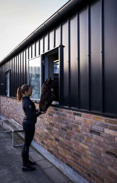 Elegant beklædning af tag og facade, Nibevej 225, Frejlev, Aalborg,